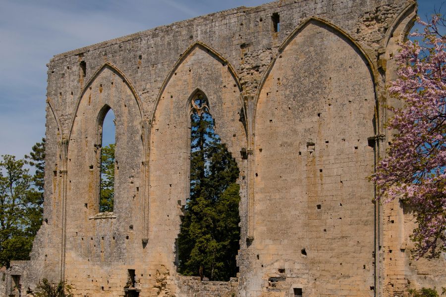 Visite guidate a Saint Émilion